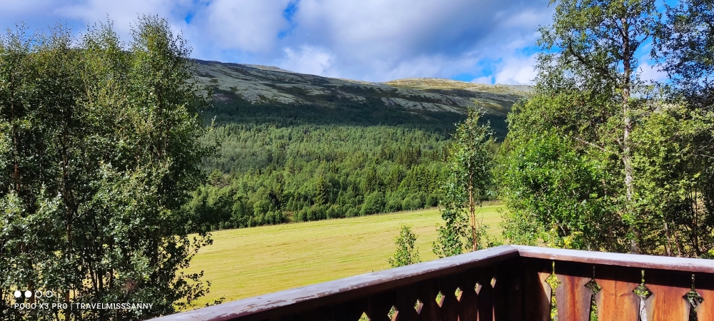 Terrassenausblick mit Elchgarantie 