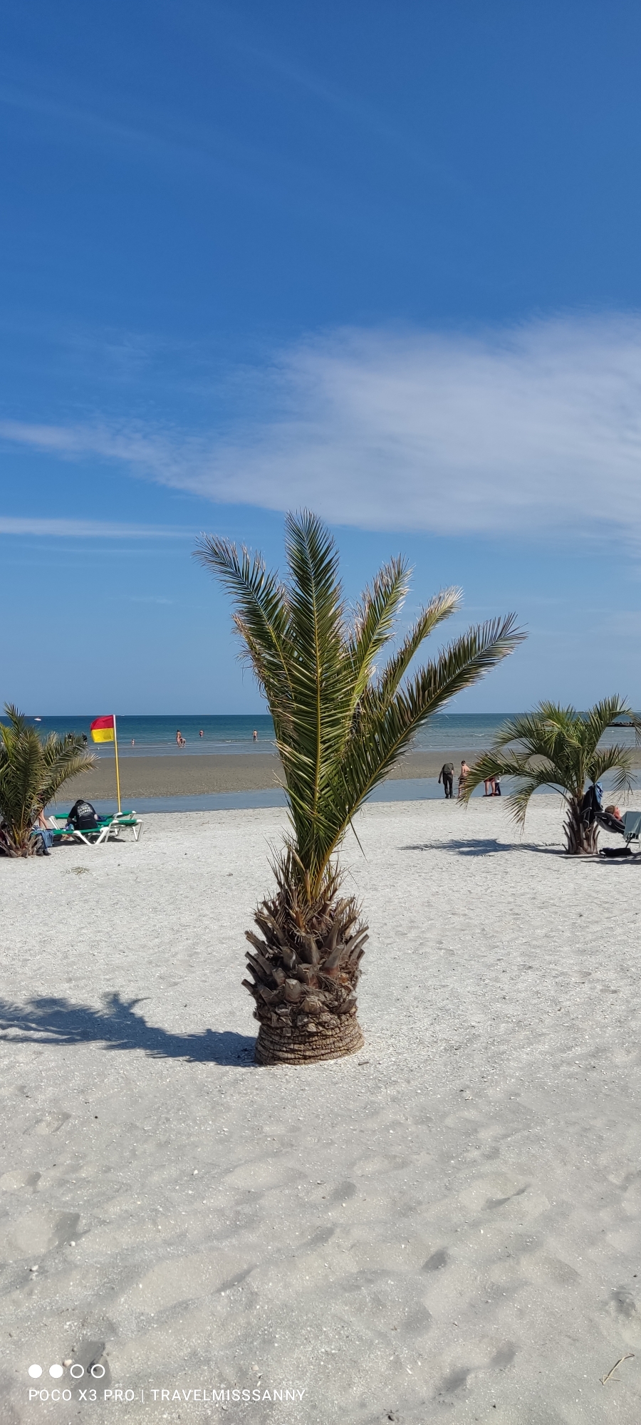 Palmenstrand in Dänemark...so kennen wir es nicht.....Überraschung