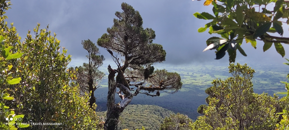 Aufstieg rund um den Mount Taranaki