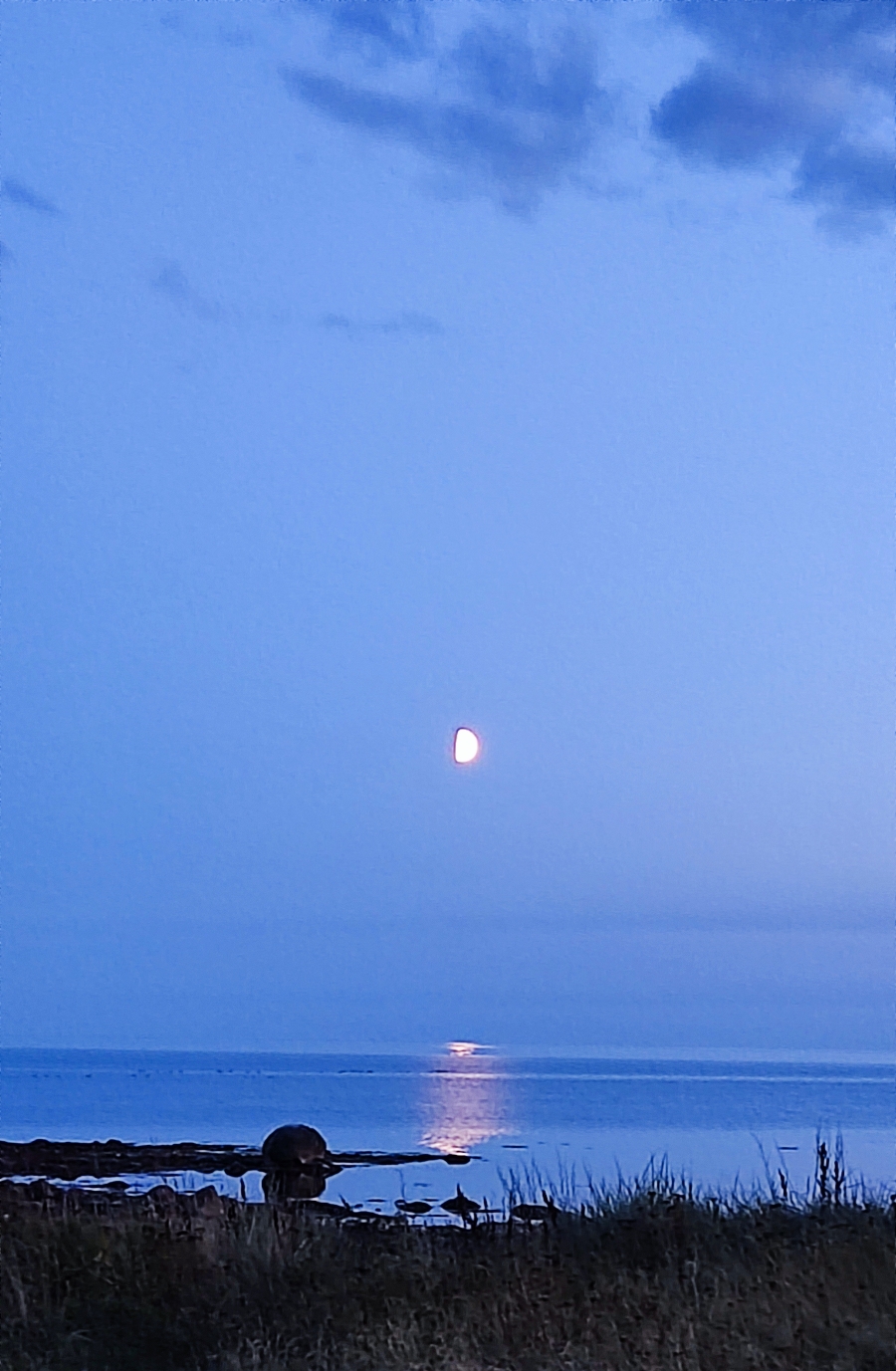 Dancing in the moonlight 