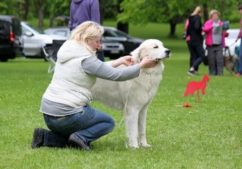 Echo de'Chien Carmen - Ex4th in champion class