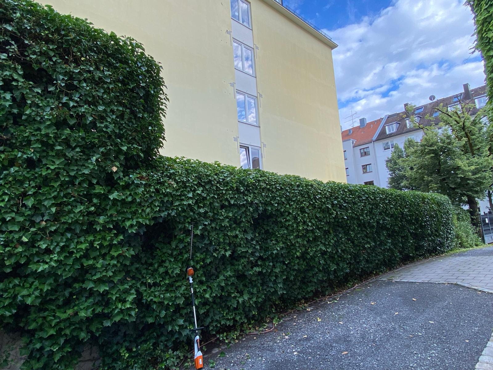Heckenschneiden
