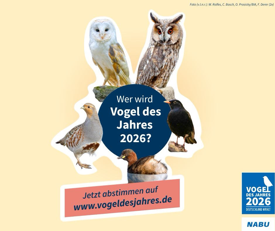 Quelle: NABU