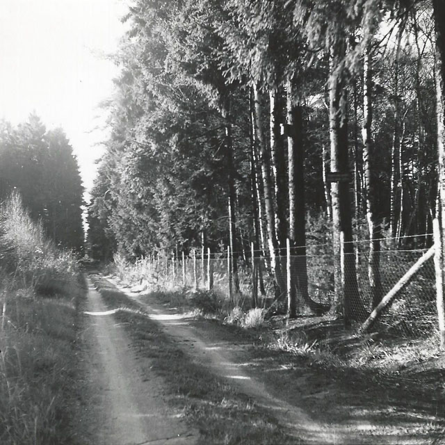 Schutzgebiet an der Dürrbruchschneise Abteilung 2
