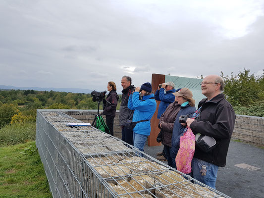 Birdwatch Foto: Cornelia Zwilling