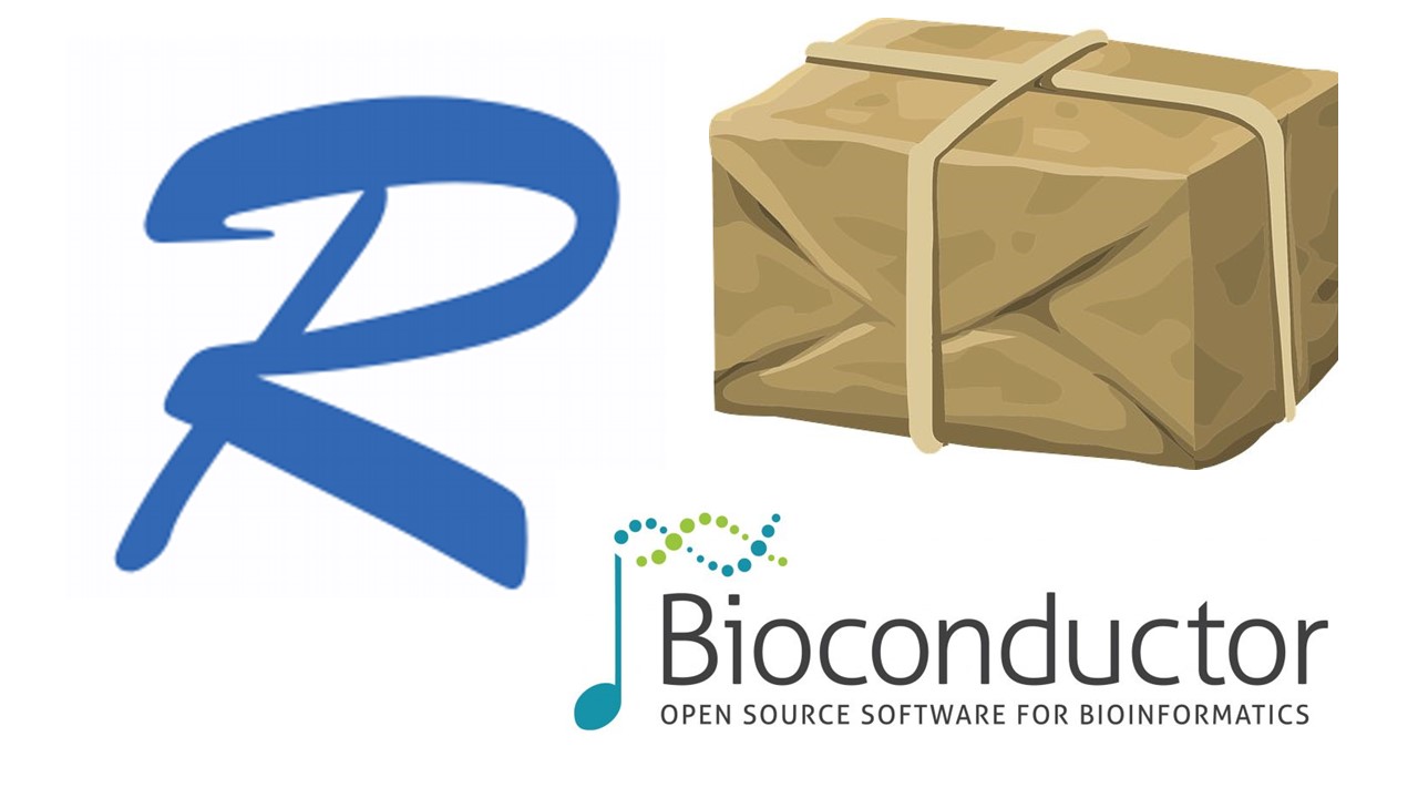 Developing R/Bioconductor packages for genomics physaliacourses