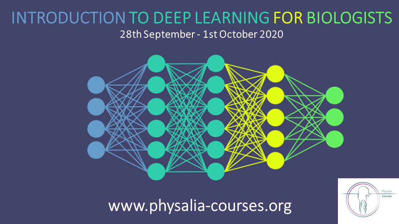 Синтез нейронных сетей. Альтаир нейросети. Introduction to Deep Learning. Офлайн и онлайн обучение нейросети. Puma нейросети.