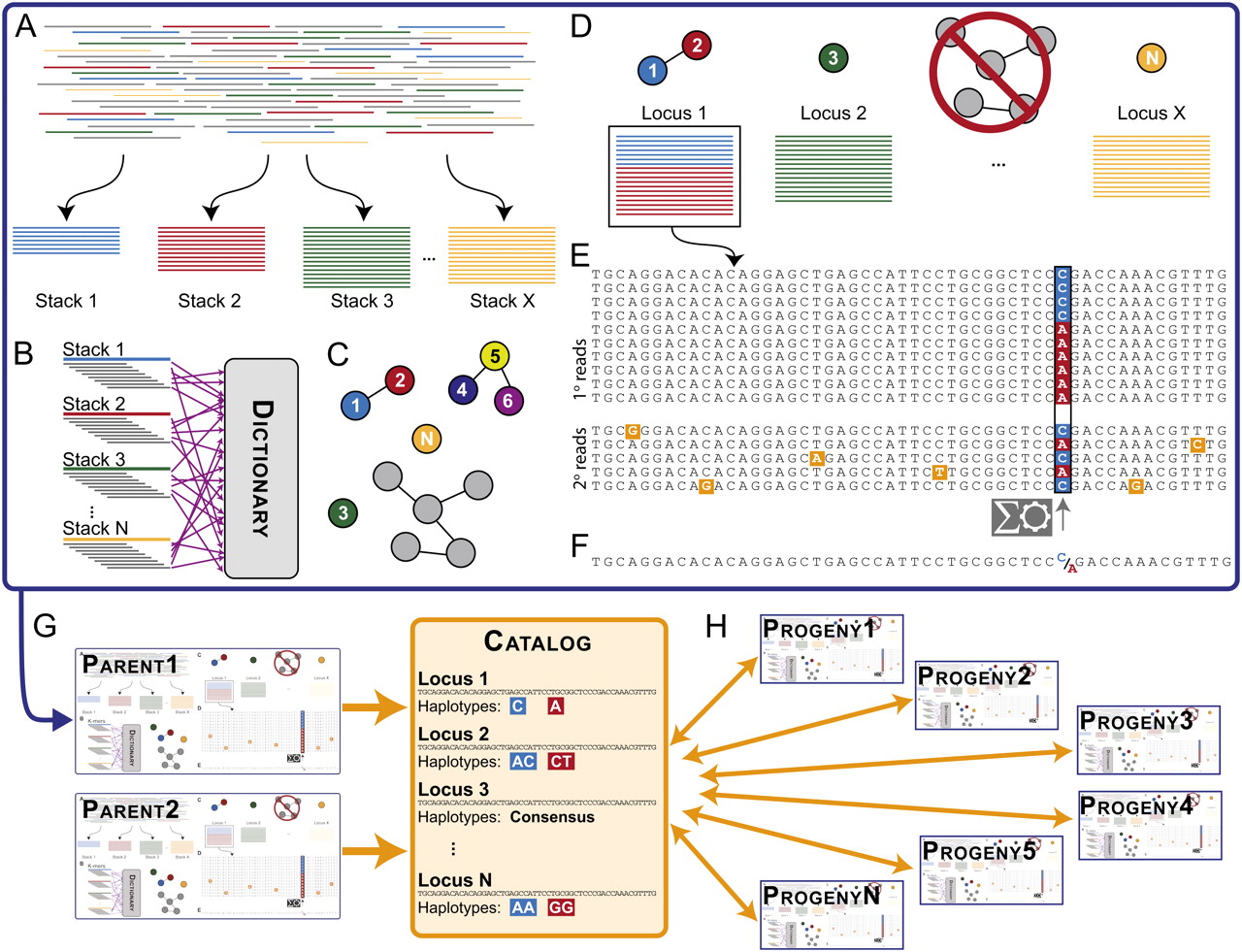 Dealing with RADseq data some tips from our instructors physaliacourses