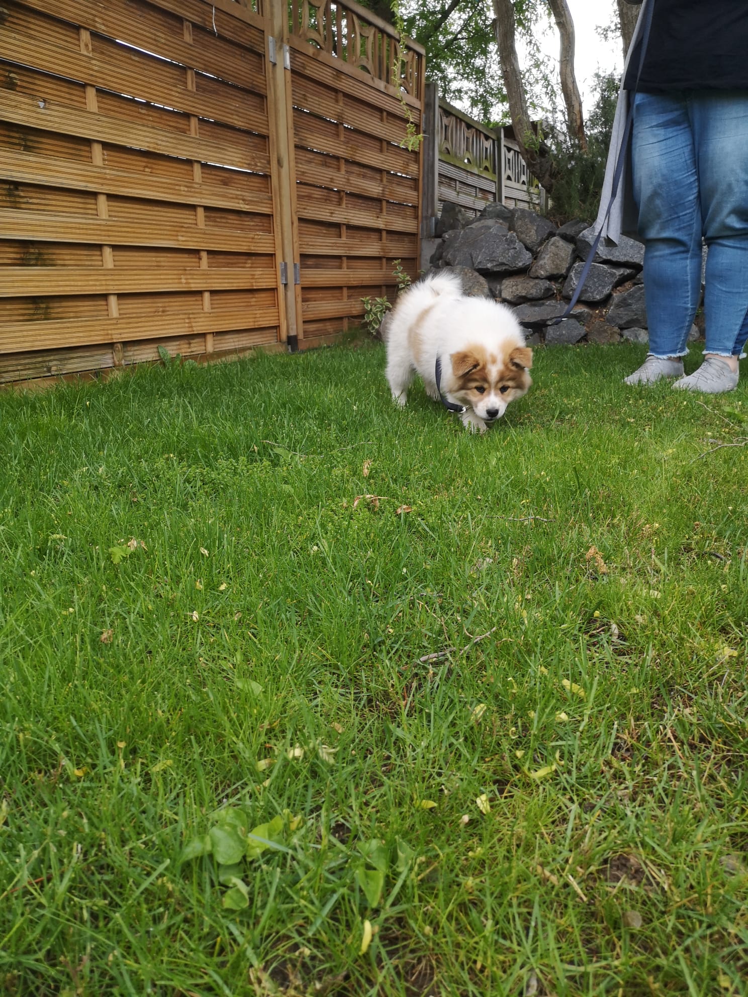 ....der Garten wird erkundet (15.05.21)