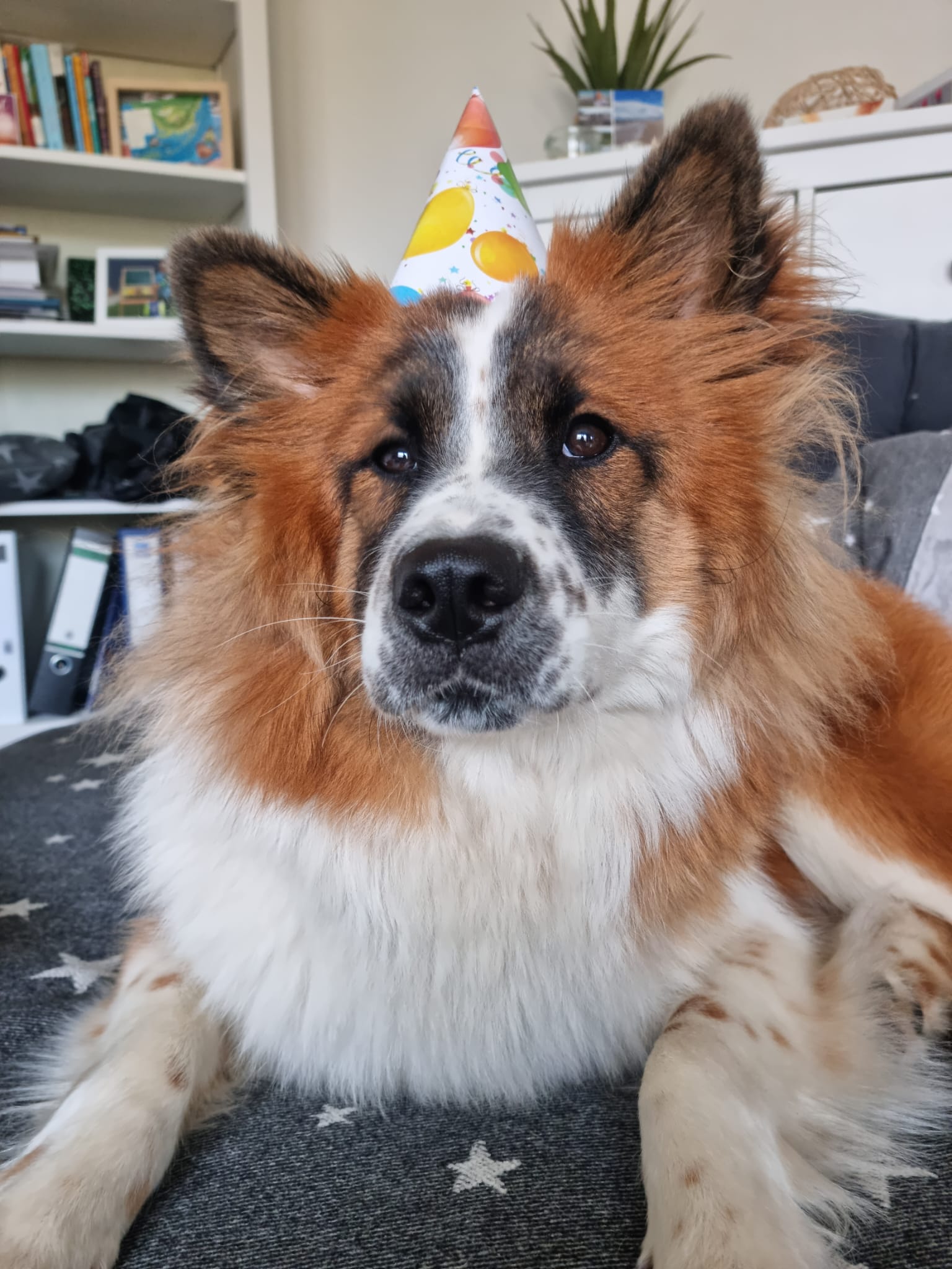 Kira