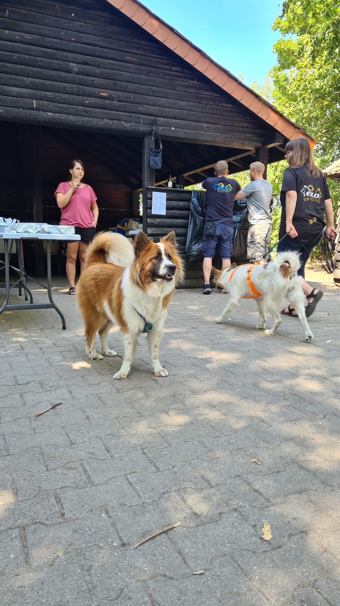 Kira und Finna (Cilla a.d. Villa Rustica), die Mutter des A-Wurf v. Rebstock 