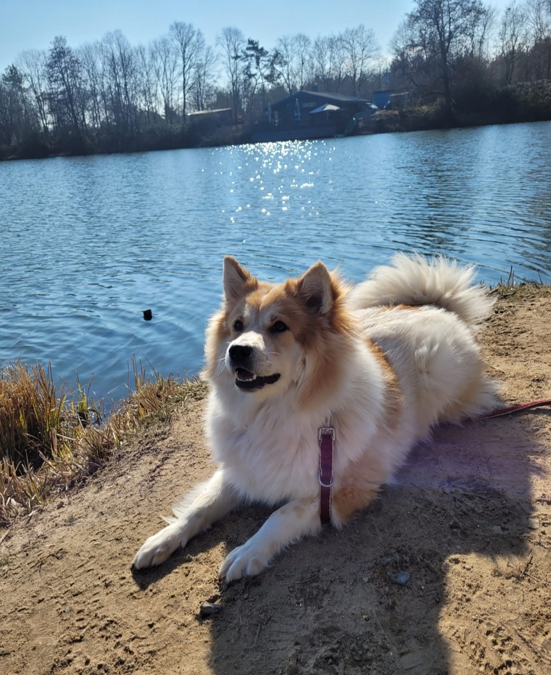 Bailey