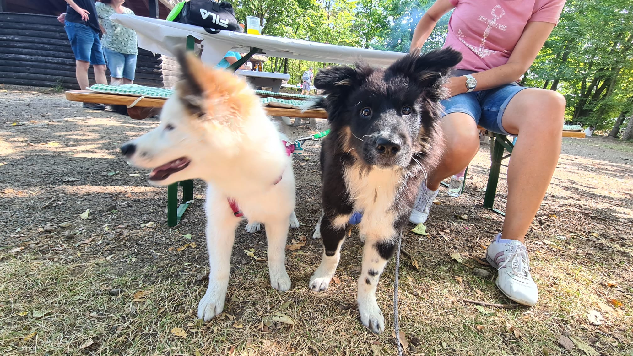 Ayu und Jack, vier Tage jünger 