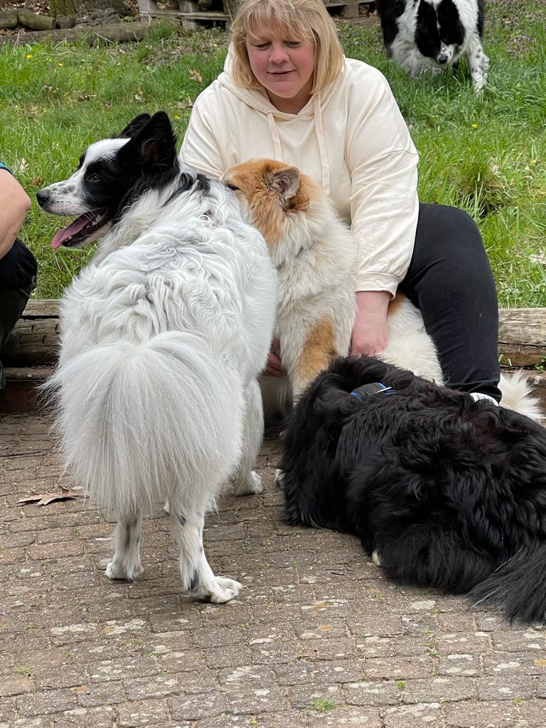 Calle und Jack liegen Bailey (und deren Frauchen)  zu Füßen :-)
