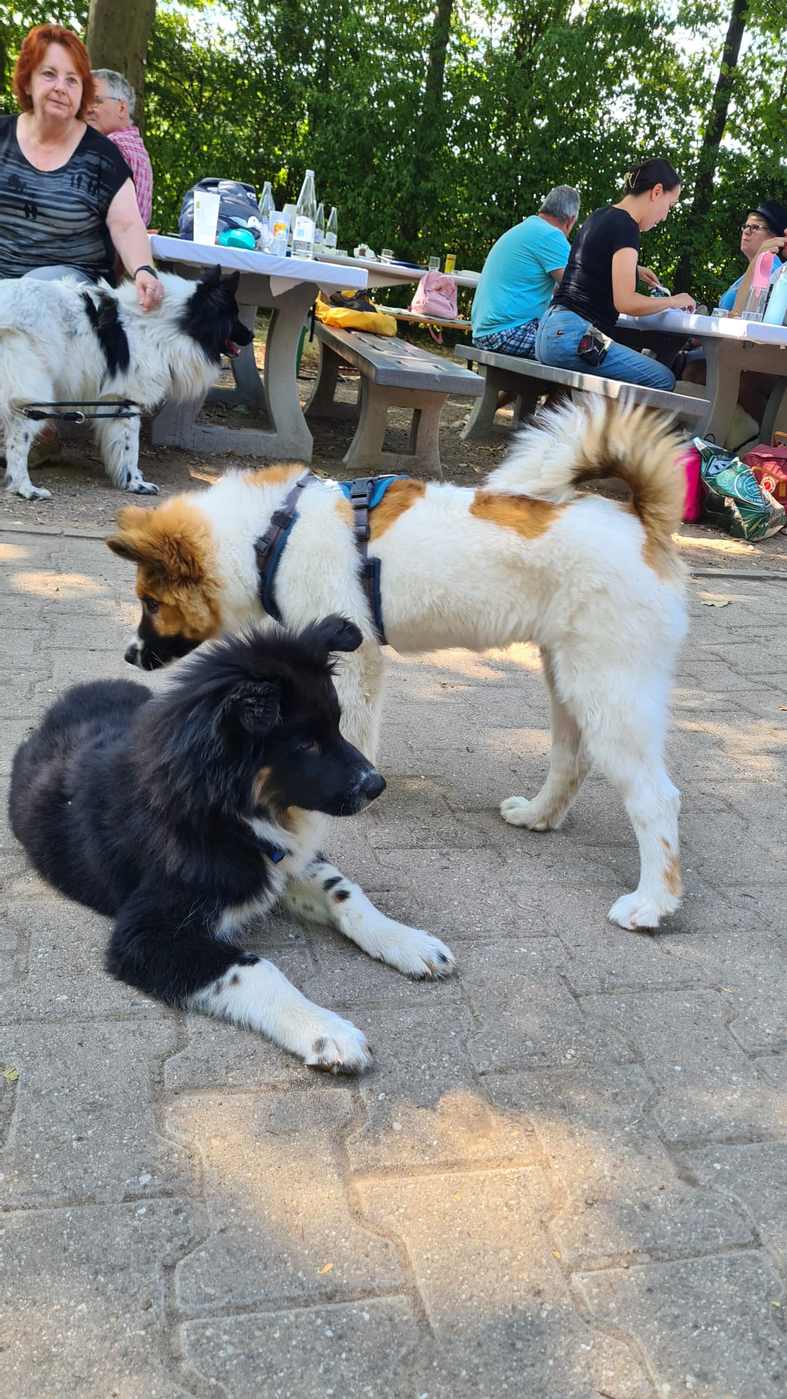 Jack und Aduino (?)