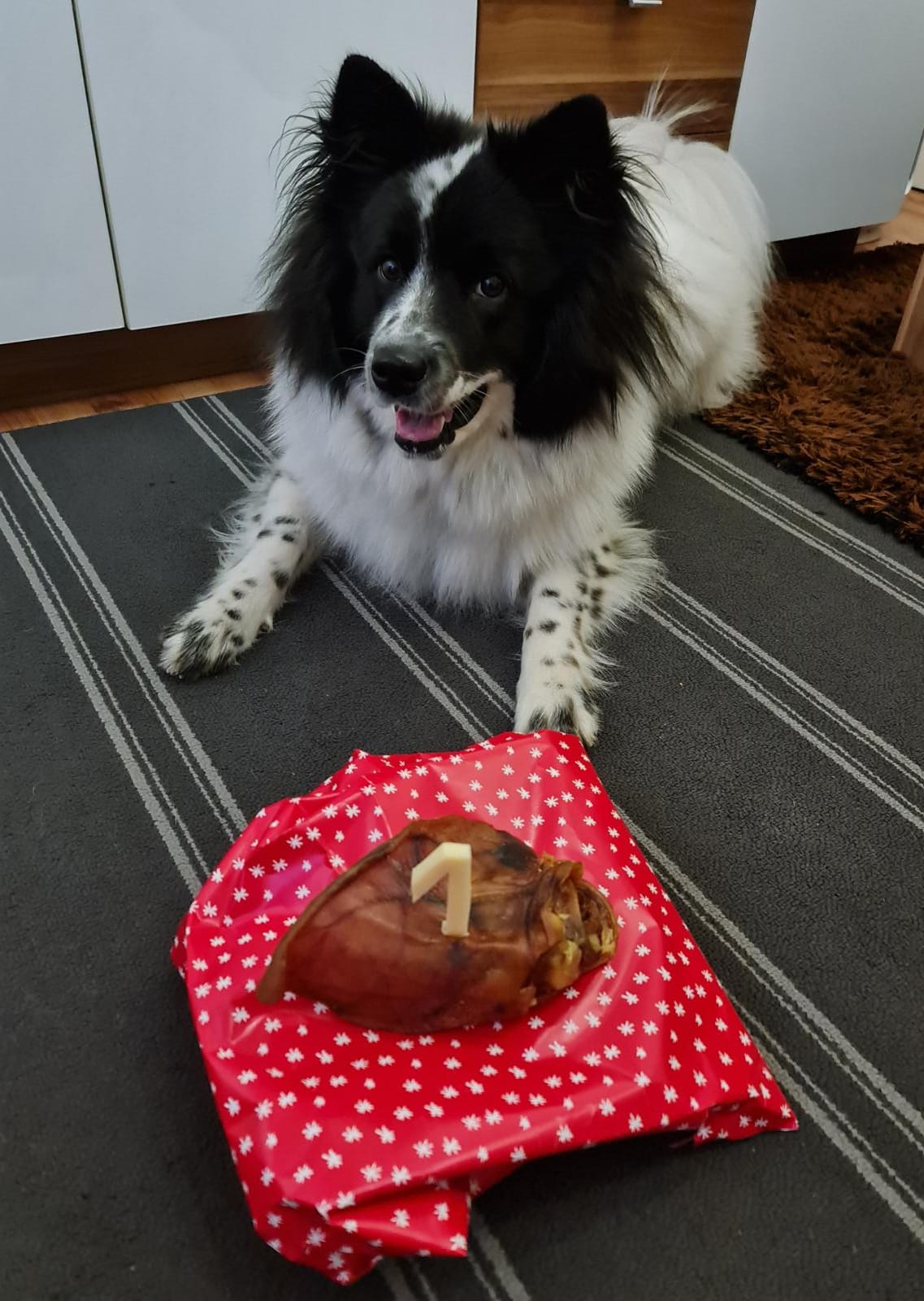 Bonnie