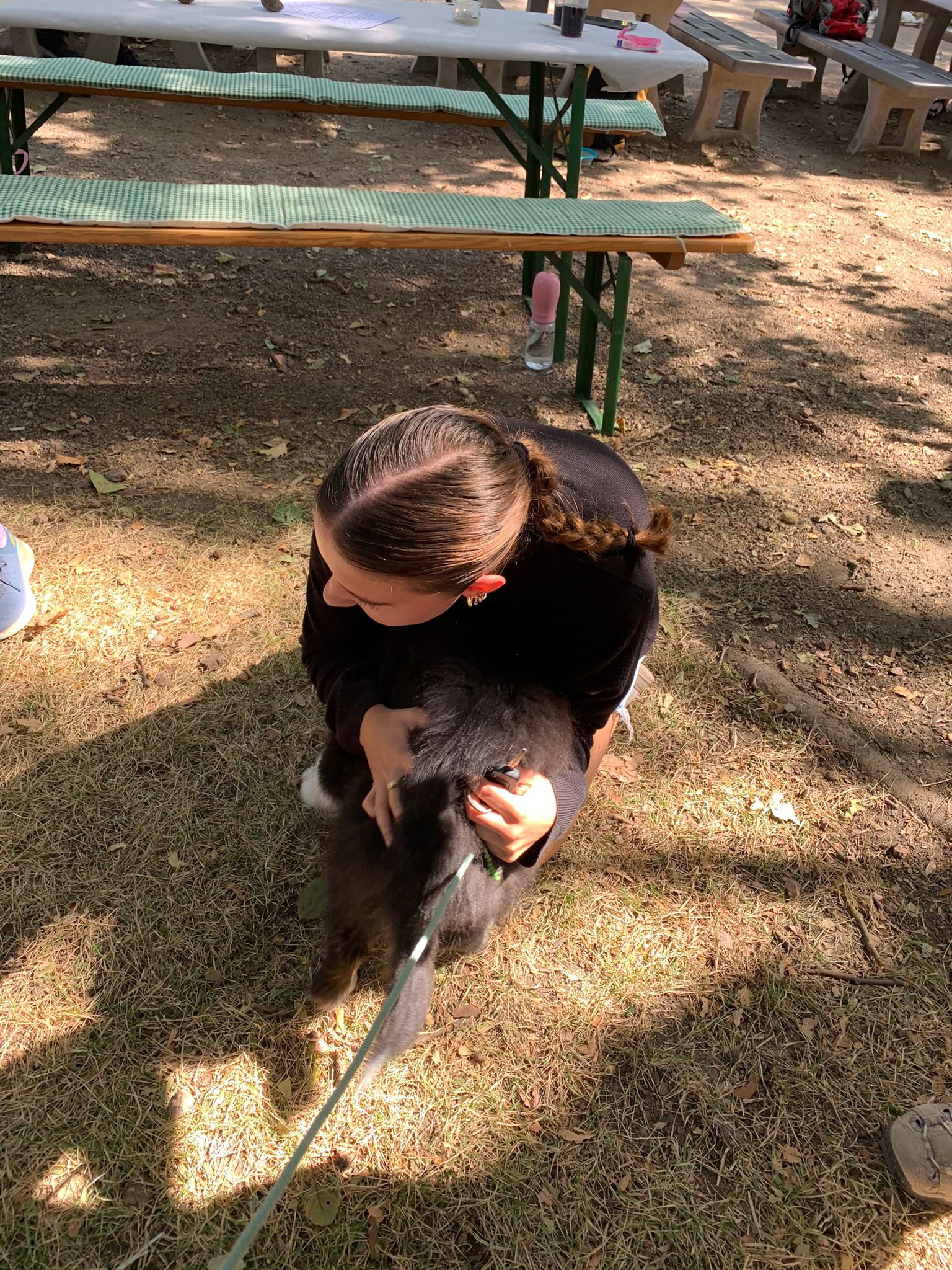 Große Wiedersehensfreude bei Mensch und Hund