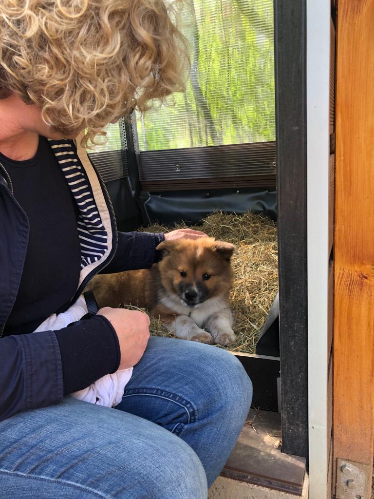 Lotte ist im neuen Zuhause angekommen (14.05.21)