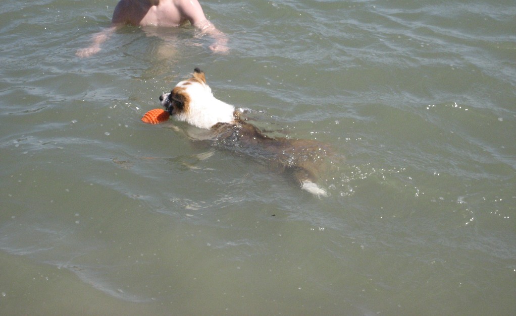 Schwimmen