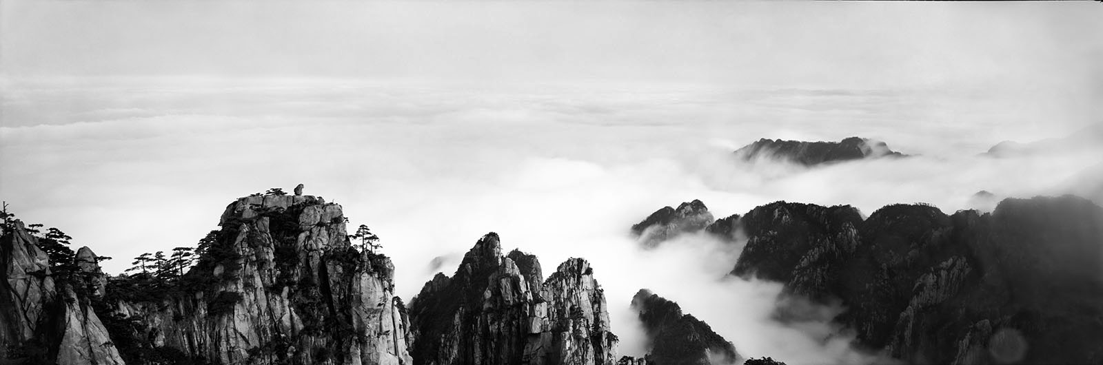 Zeng Nian, photo , signée et numérotée , 126,6 x 42,5 cm