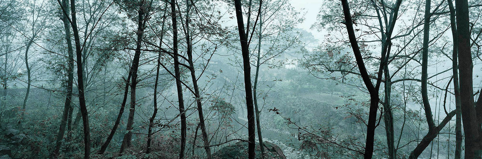 Zeng Nian,Le pont de Xuxian (« histoire des ancêtres »), district de Yunyang, Chobqing Chine. 2002. Tirage jet d’encre sur papier INNOVA Exhibition Photo Baryta 310 gsm, 128.6X42.5cm / 01/15
