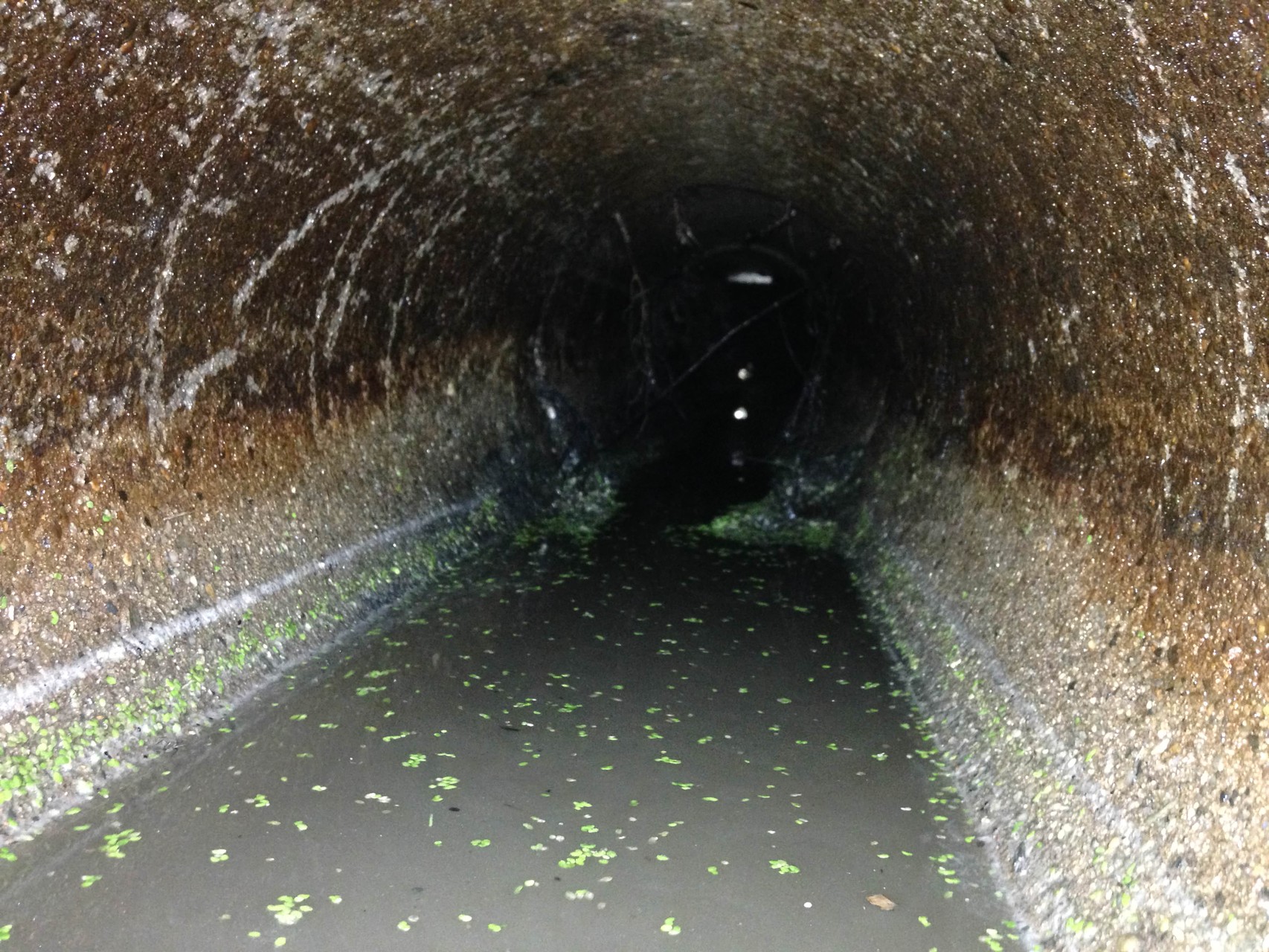 Kleingarten Am Teich Königsbrück