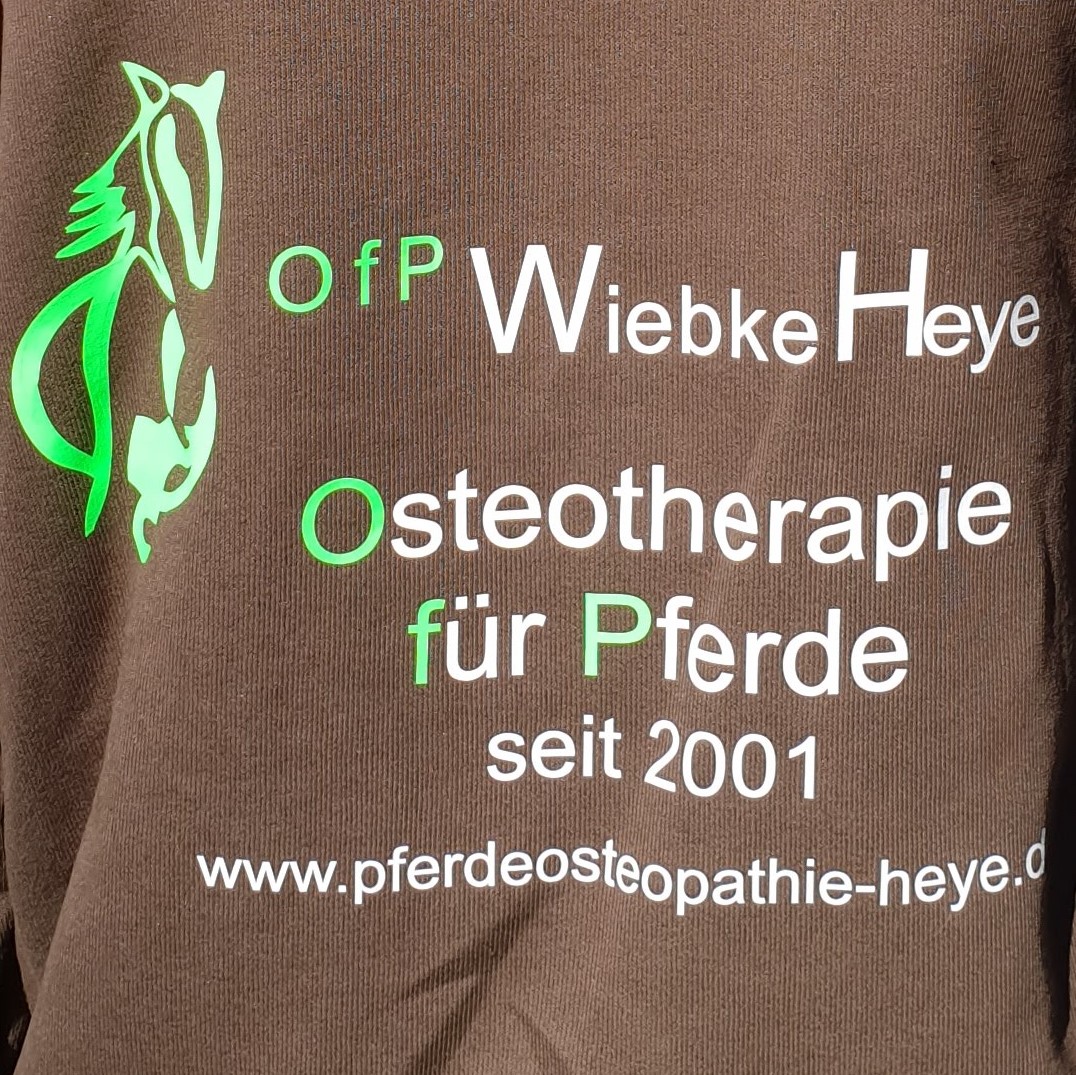 Wie finde ich einen guten Therapeuten?