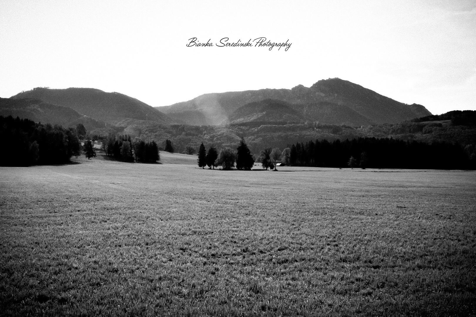 Der Preis der Wahrheit. Warum Tiefdenkende anecken müssen