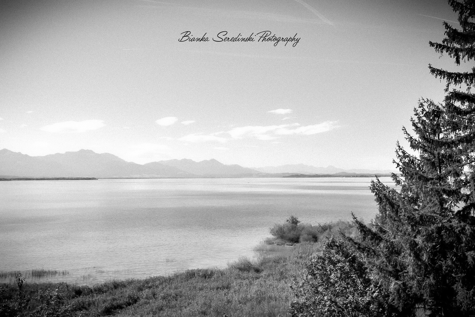 Chancengleichheit oder Gleichrichtung?