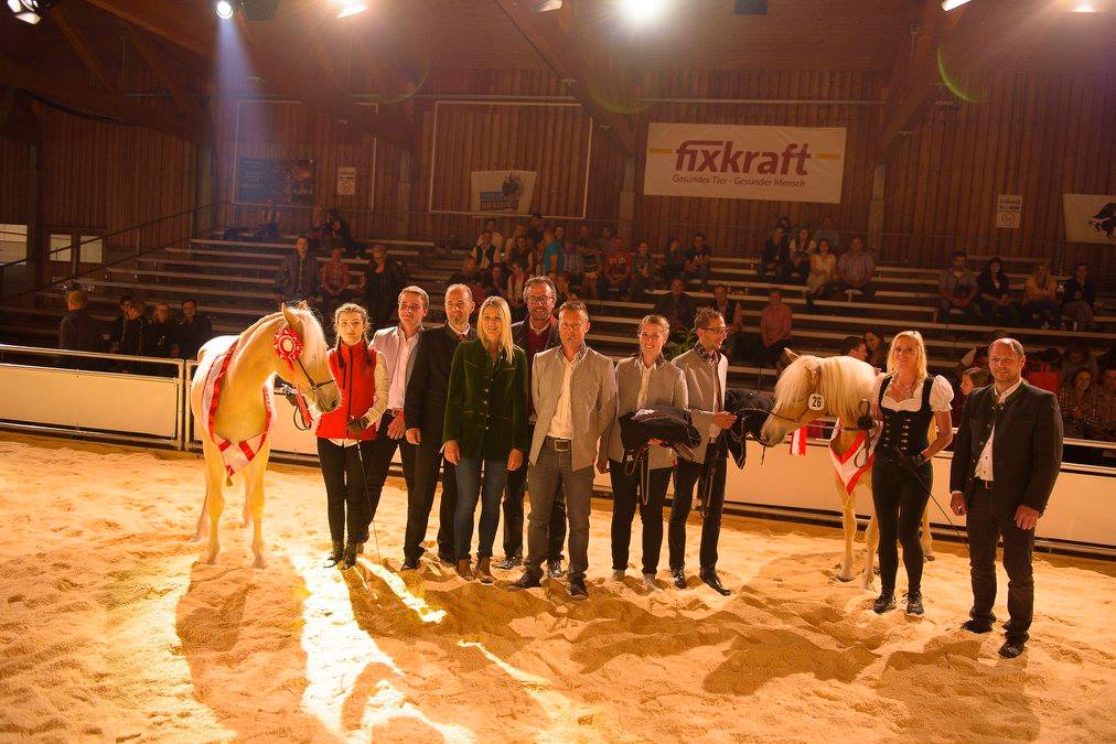 Foto: Haflinger Jungzüchterschaft Tirol