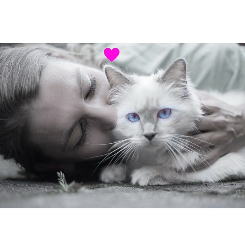 Mit Tieren mental sprechen lernen! - Tierkommunikation-Onlinekurse