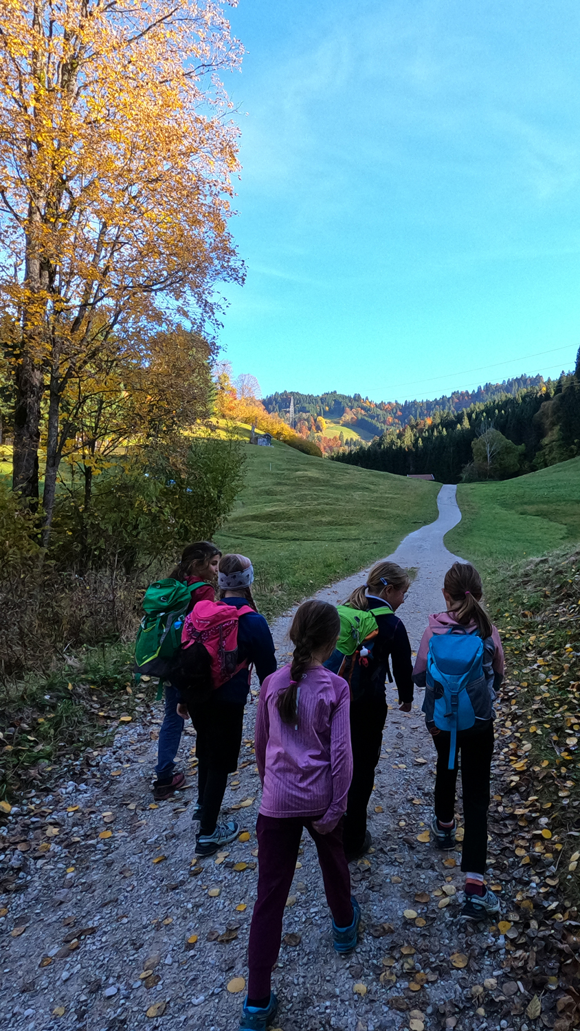 Wandern im goldenen Herbst.