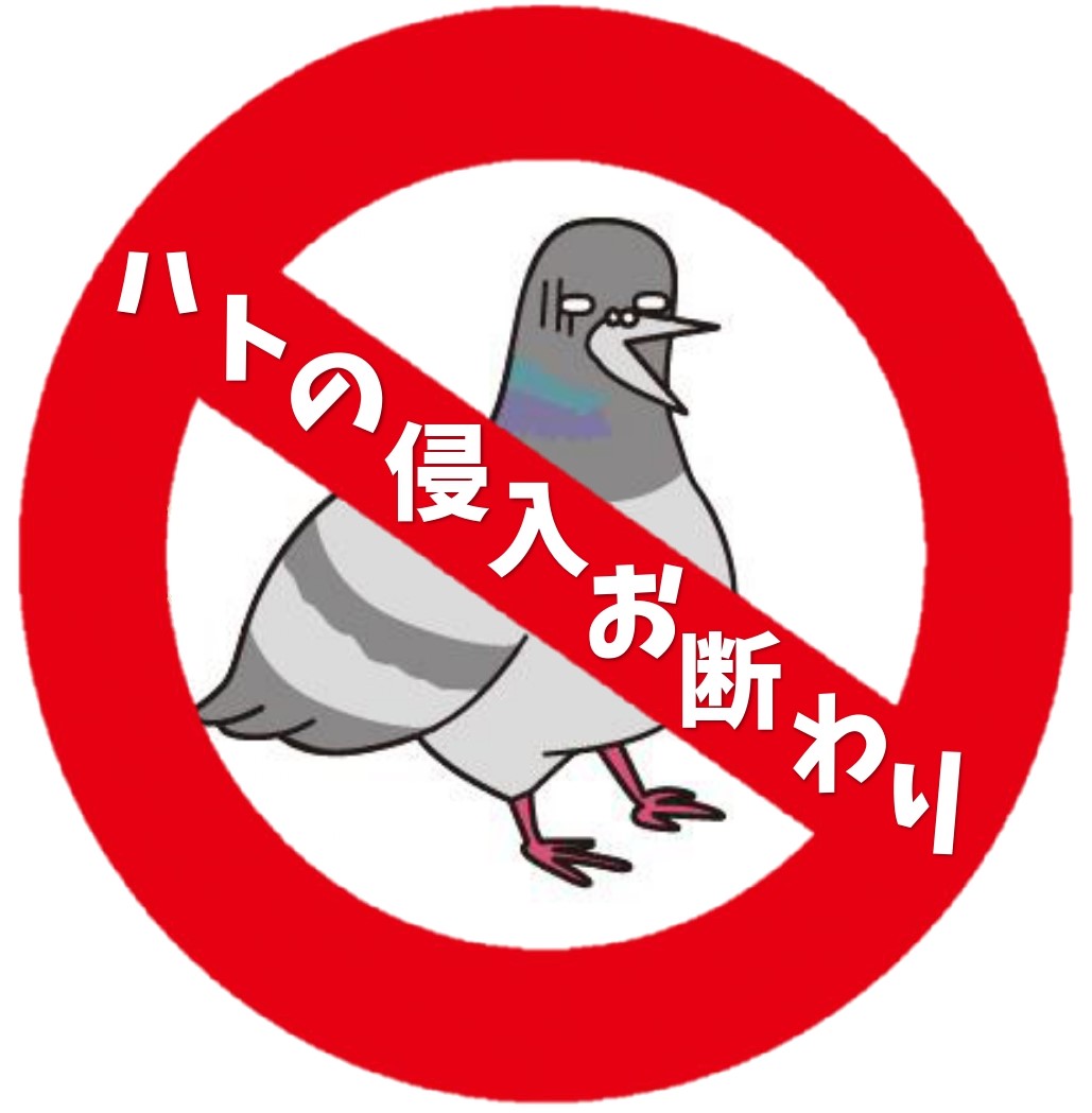 ハト除けネットつけました👷