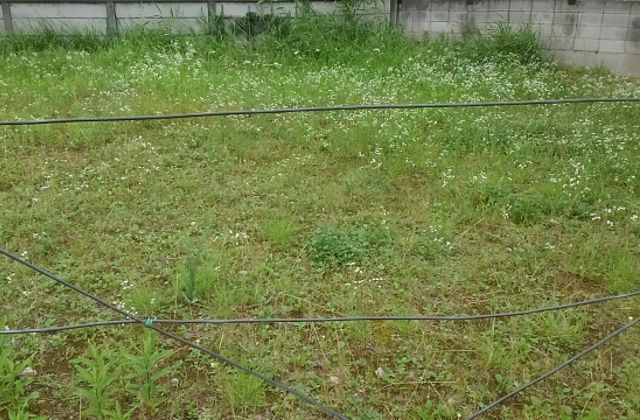 広範囲で雑草対策が必要な場所