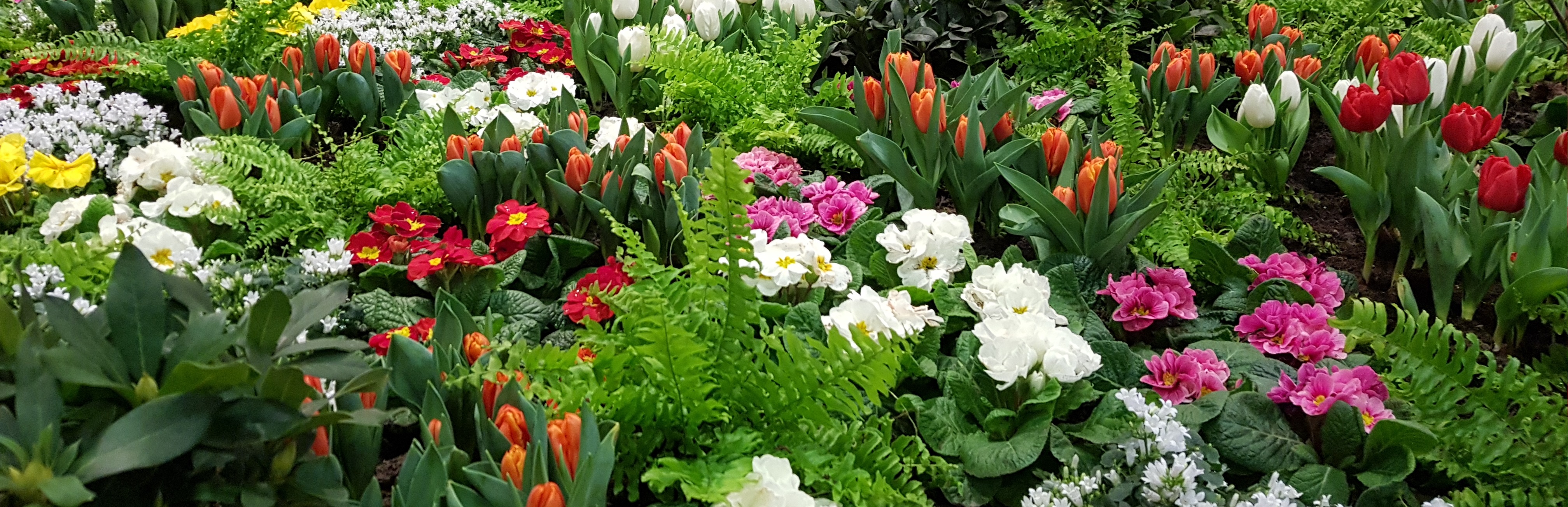 Impressum Blumen Berlin Grabstrauß Trauergesteck Blumenversand