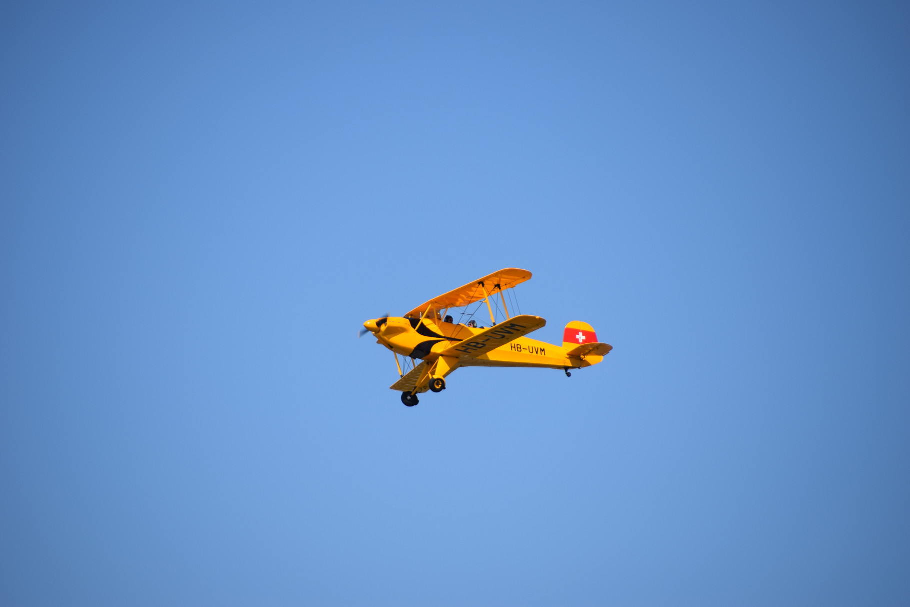 Bücker