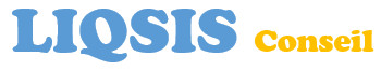 Lean, Six Sigma, Qualité, ISO 9001, Performance industrielle, conseil, consultant,audit interne - environnement - ISO 14001 - formation - audit - isère - savoie - haute savoie - drôme - rhône - hautes alpes - grenoble - chambéry - Annecy - Gap - Lyon 