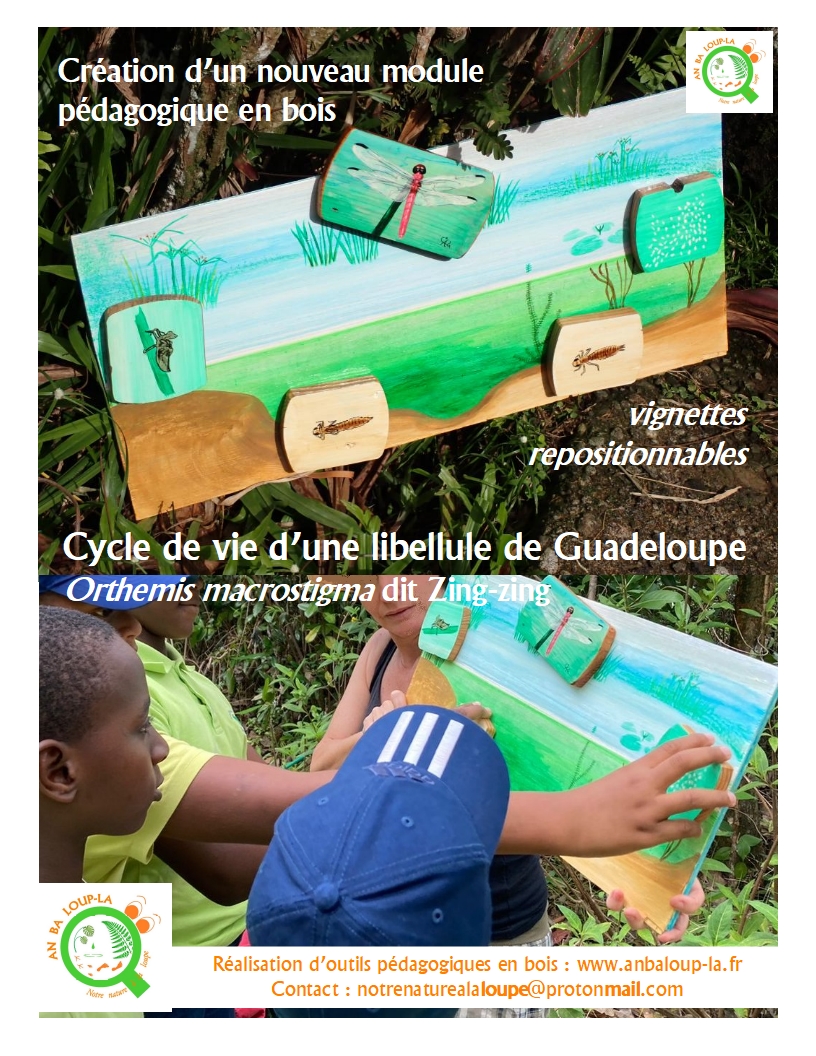 fabrication d'outils pedagogiques en bois guadeloupe