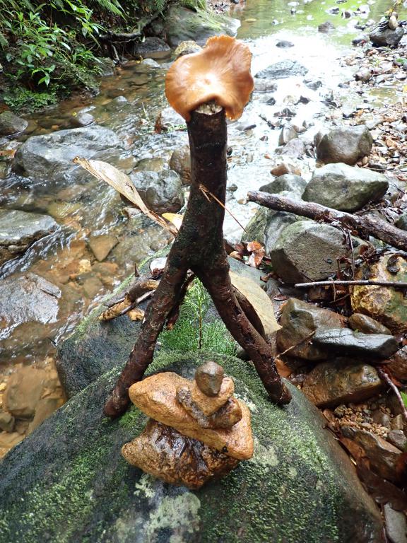 Titre de l'oeuvre : "Macabane dans la forêt" - Auteur : Gillette