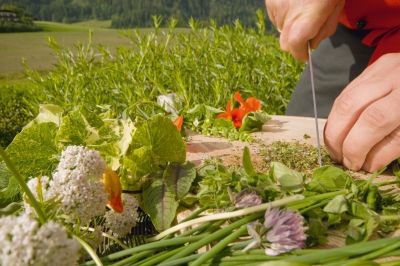 naturheilkunde pfarrer künzle heilkräuter bücher medizin