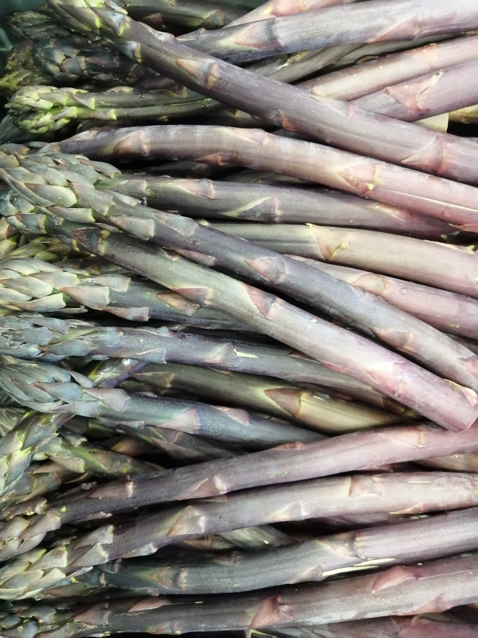 Unser lila Spargel"Erasmus", perfekt zum grillen.Wird beim kochen grün und schmeckt besser als der Grüne Spargel. 