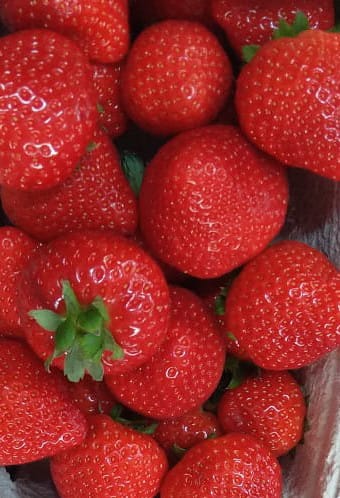 Die ersten deutschen Erdbeeren sind bereits erhältlich. 