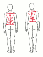 Beckenschiefstand, Patricia Kressig-Schori, Praxis für Energetische Körpertherapien, Zürich