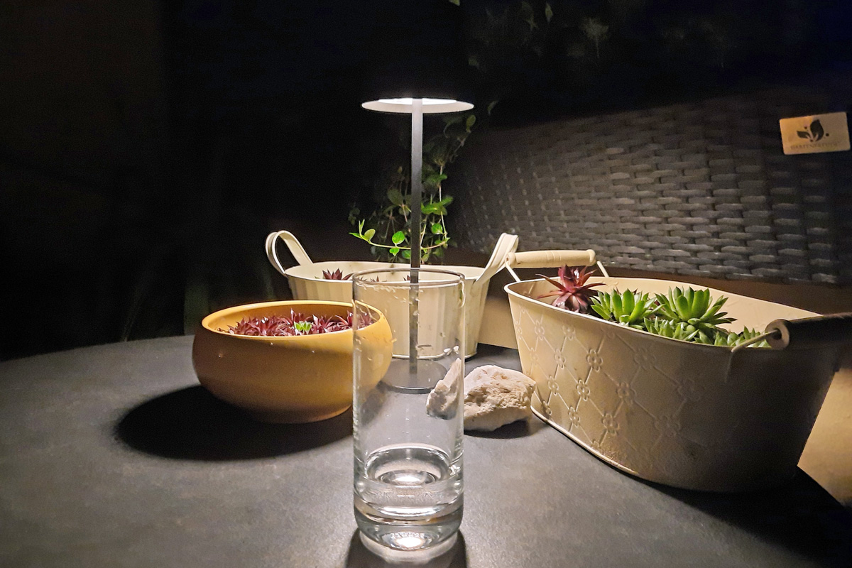 Minimalistische Lichtspiele. Ein kleine Lampe reicht aus, um ein paar Schalen mit Dachwurz attraktiv in Szene zu setzen.Foto: Kai-Uwe Ruf 