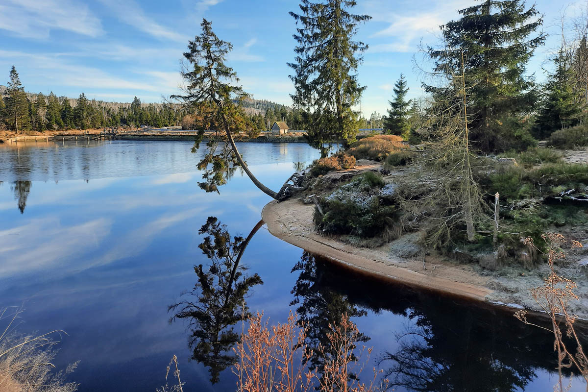 "Wie in Kanada": Herbstatmosphäre am Oderteich im Harz. Foto: Kai-Uwe Ruf