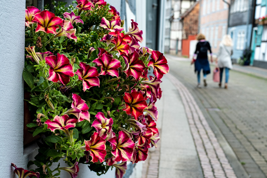 Ein Foto-Spaziergang in Wolfenbüttels Fachwerk-Idylle