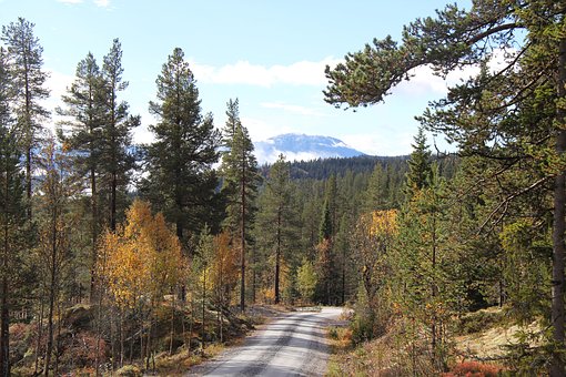 Fahrt über Nebenwege durch Schweden und später ein Stück durch Norwegen.