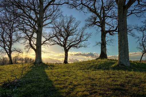 Landschaftsstimmung