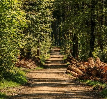 ... als wir mitten im Bayrischen Wald im Bus übernachteten,