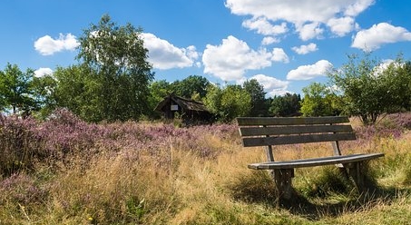 in der Heide